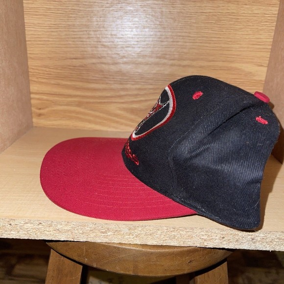 Vintage Tamba Bay Bucanners NFL Gameday Embroidered Football Snapback Hat Rare - Picture 3 of 9